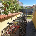 Alpa Apartment *