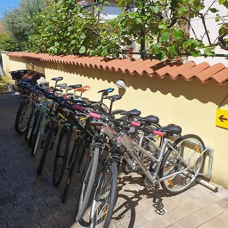 Alpa Διαμέρισμα *