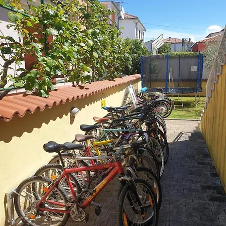 Alpa Apartment *